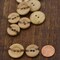 12 Pieces Wooden Burnt Center Flat Buttons Two Hole Wood Shop 23mm 15/16" Large Size